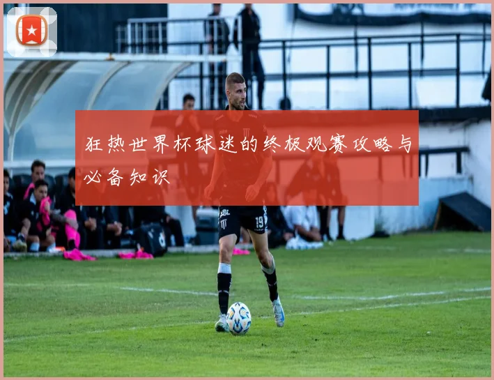 狂热世界杯球迷的终极观赛攻略与必备知识